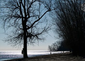 Beach Walk - Free image #494979